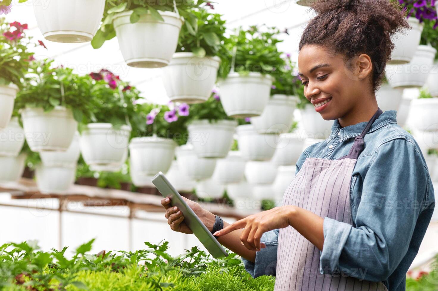 Smart control on flower farm. African american girl in apron controls device, near are many plants in pots in interior of greenhouse photo