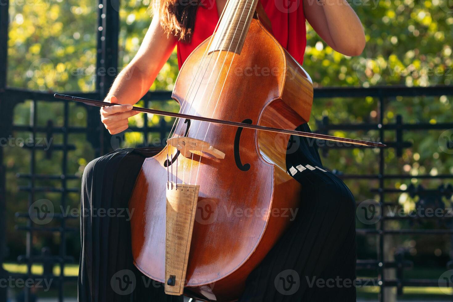 Cropped shot of an unrecognizable woman playing the cello outdoors photo