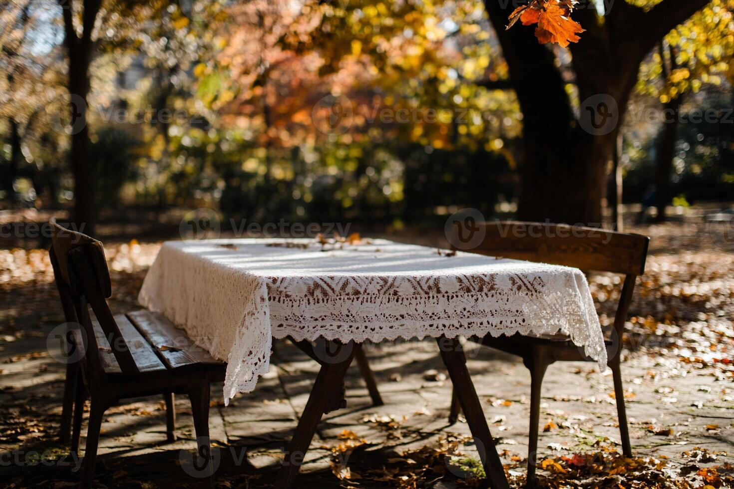 Autumnal outdoor table setting in park photo
