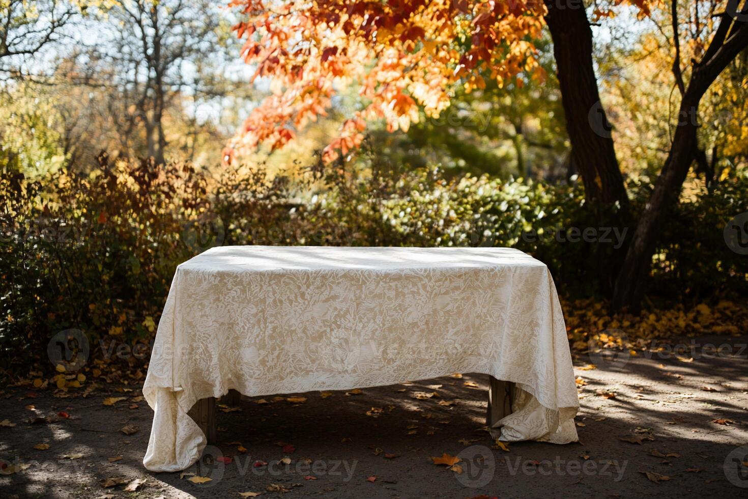 Empty table in autumn park photo