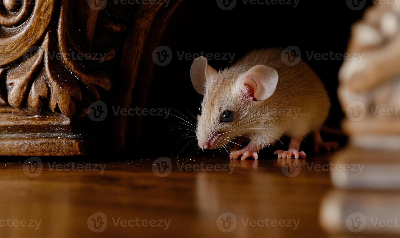 Small beige mouse under dark furniture photo