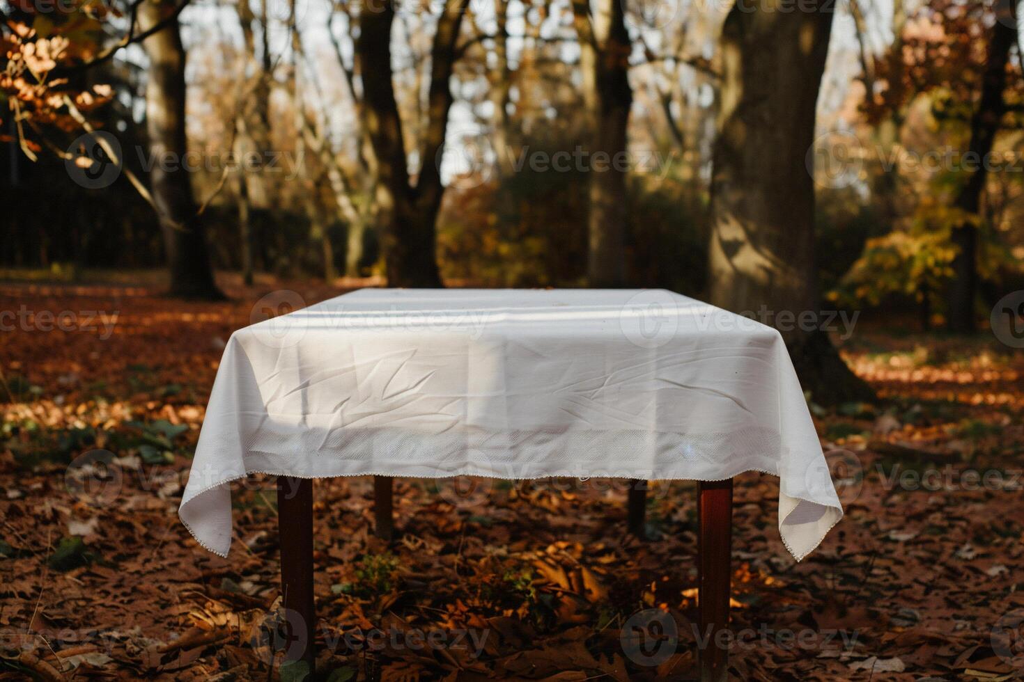 Empty white tablecloth on a wooden table in autumn forest photo