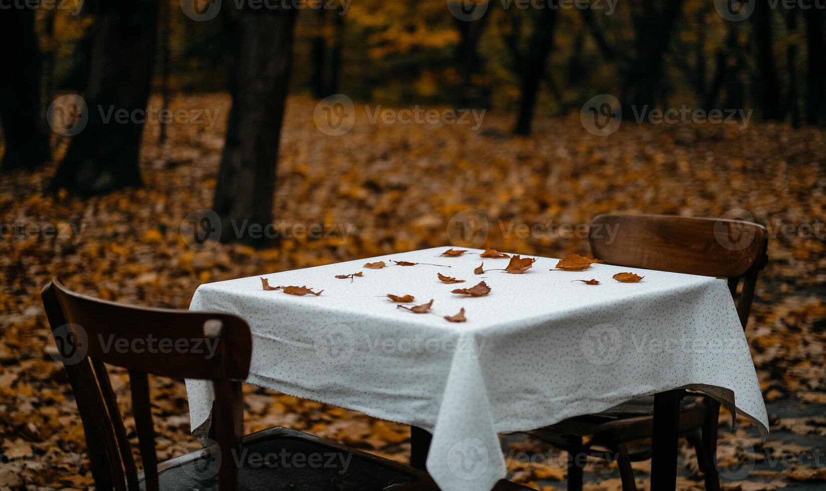Empty autumnal outdoor table in a forest photo