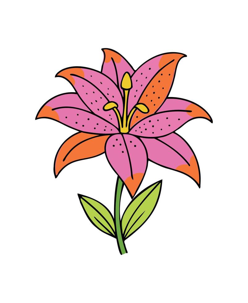 Beautiful Pink Lily Flower - Vibrant Floral Art 59012291