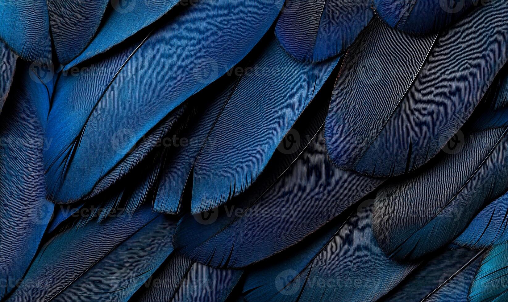 Close-up view of vibrant dark blue feathers. Detailed texture of overlapping, intricate feather patterns photo
