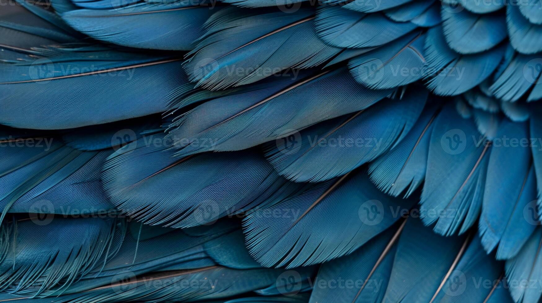 Close-up of vibrant blue bird feathers. Detailed texture and vibrant color photo