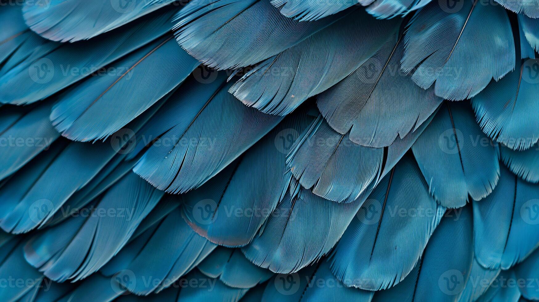 Close-up of vibrant blue bird feathers. Intricate patterns and textures of tightly packed, detailed plumage photo