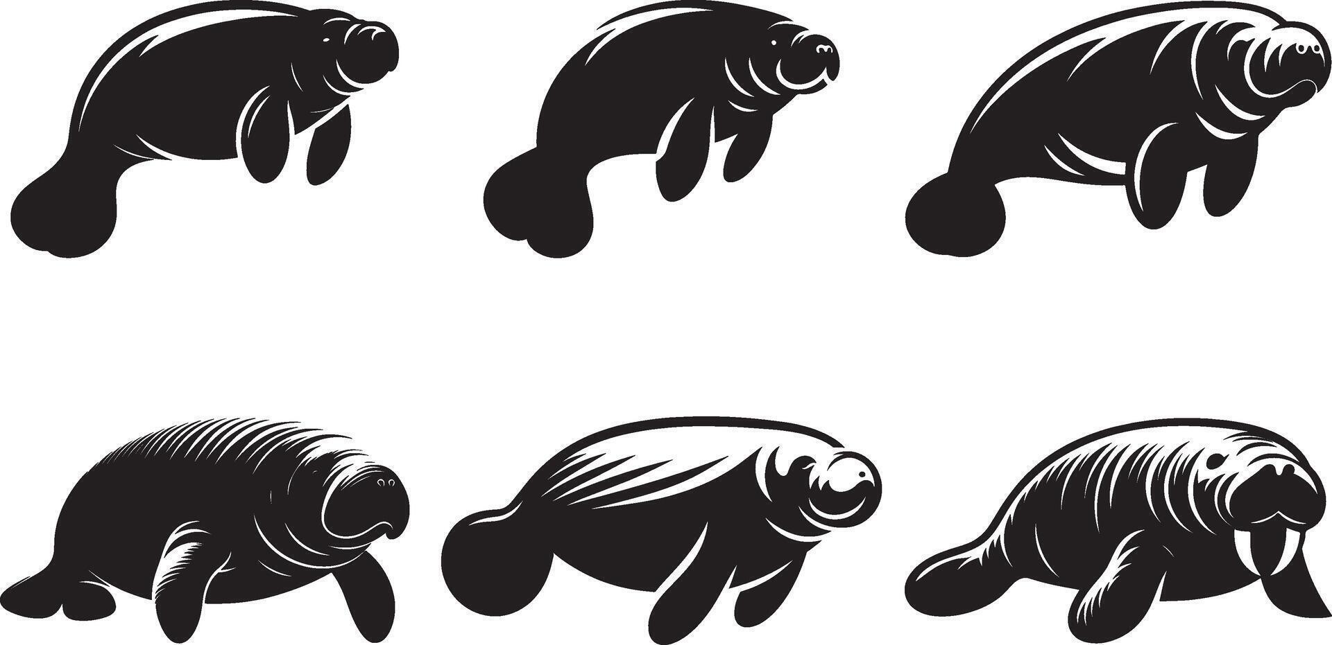 Set Of High-Resolution Manatee Silhouettes on White Background vector