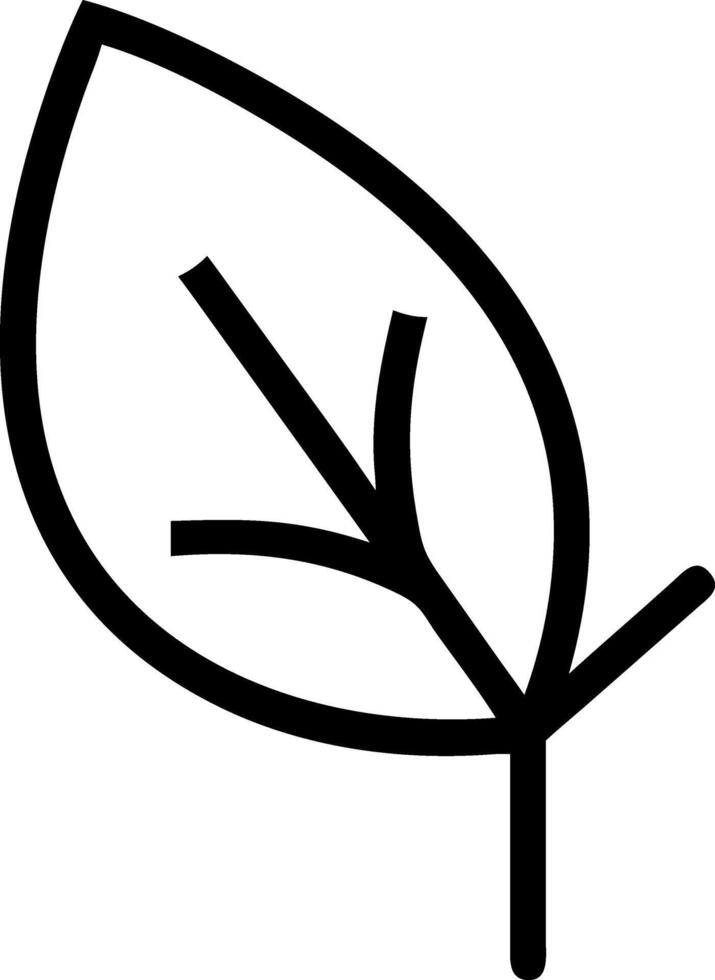 Modern Leaf Shape Design vector