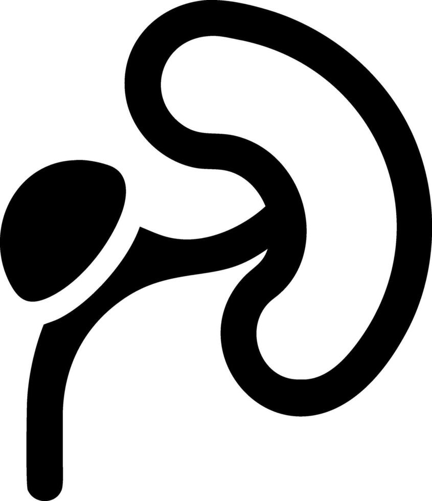 Artistic Kidney Design vector