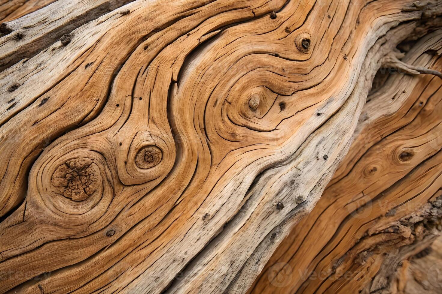 Natural beauty of weathered wood with intricate patterns and textures in sunlight photo