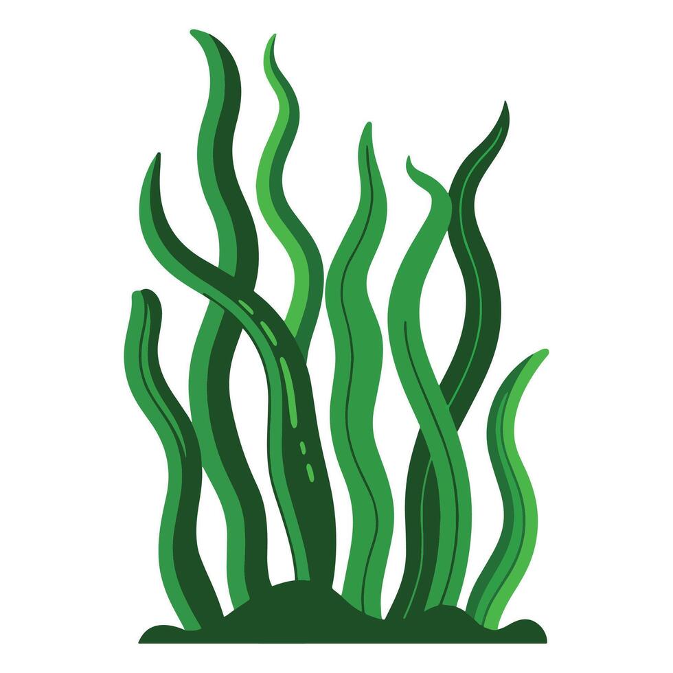 Green algae and sea plants, perfect for marine and nature themed designs. vector
