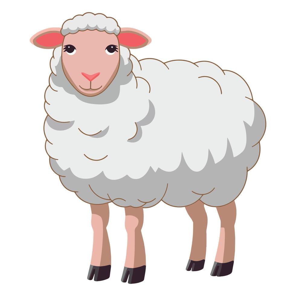 Merino sheep, farm animal with thick wool. Cute ewe in cartoon style, isolated on a white background. illustration. vector