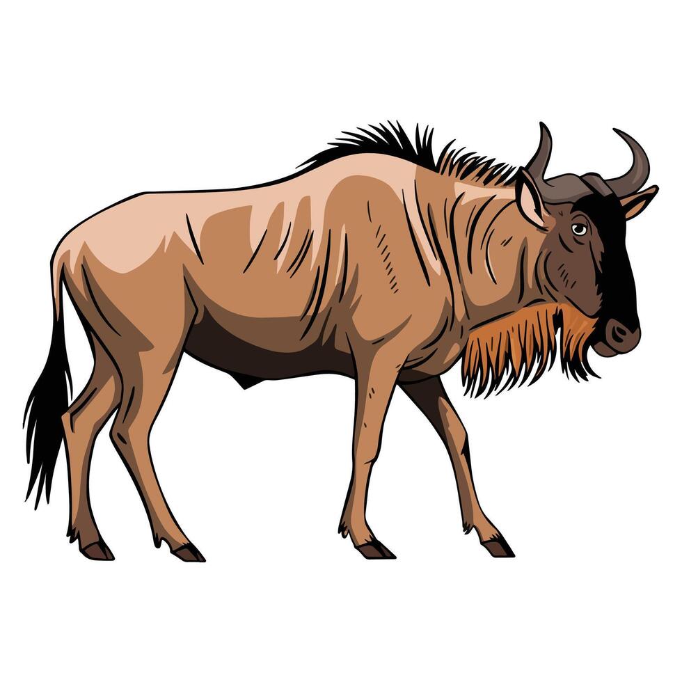 Wildebeest standing, African wildlife animal. illustration of a wildebeest in a natural pose, ideal for wildlife themed designs, educational materials, and nature inspired artwork. vector