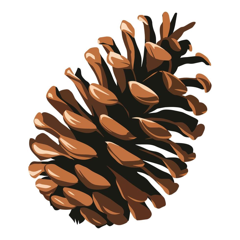 Fir cone on a white background, illustration. Simple and clean design, perfect for nature themed graphics. vector
