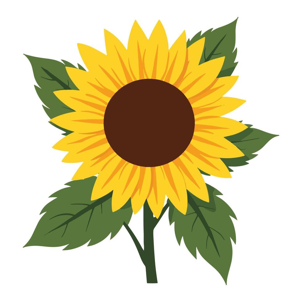 Yellow sunflowers in full bloom, illustration. Ideal for floral-themed designs, nature projects, and seasonal decorations. vector