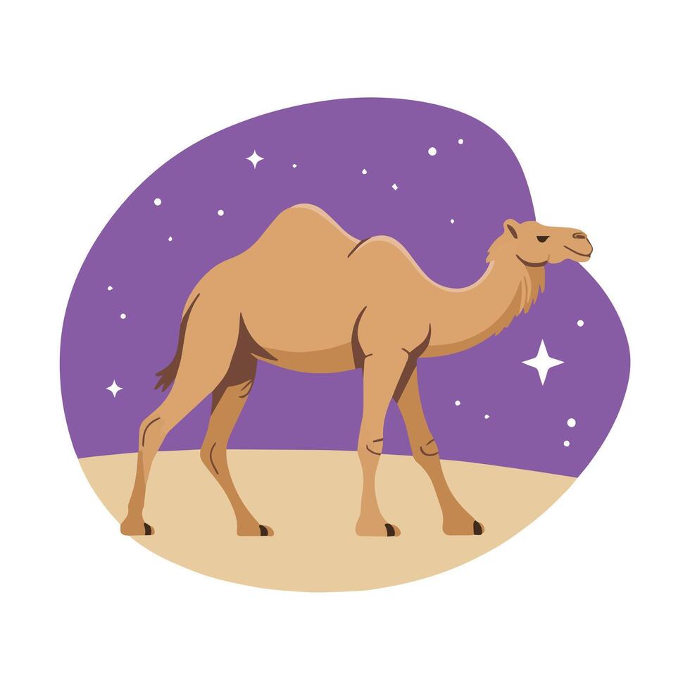 Arabic camel in the night, isolated illustration. Ideal for desert and cultural themes. vector