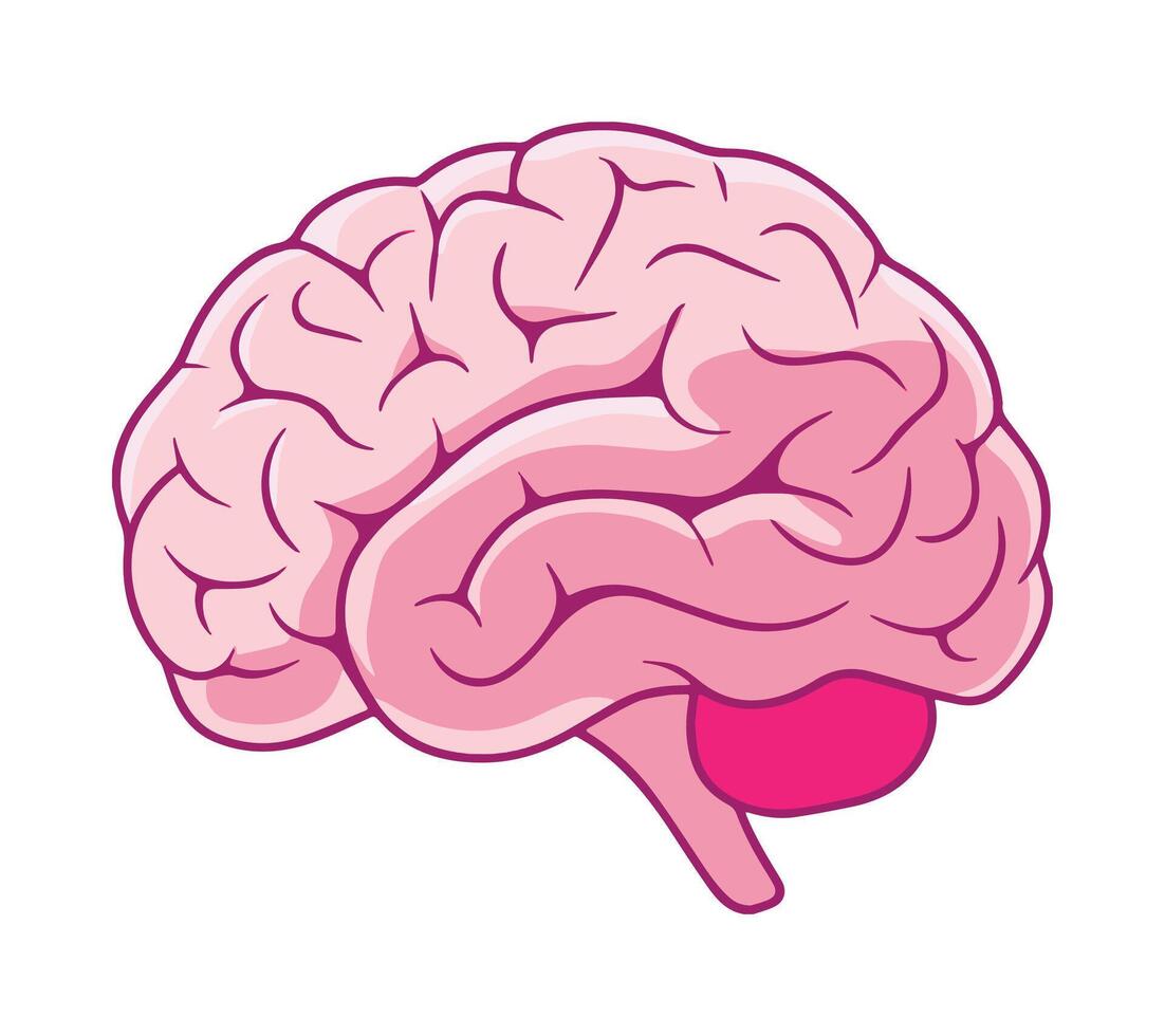 Brain Hand Drawn Doodle Object Illustration Design vector