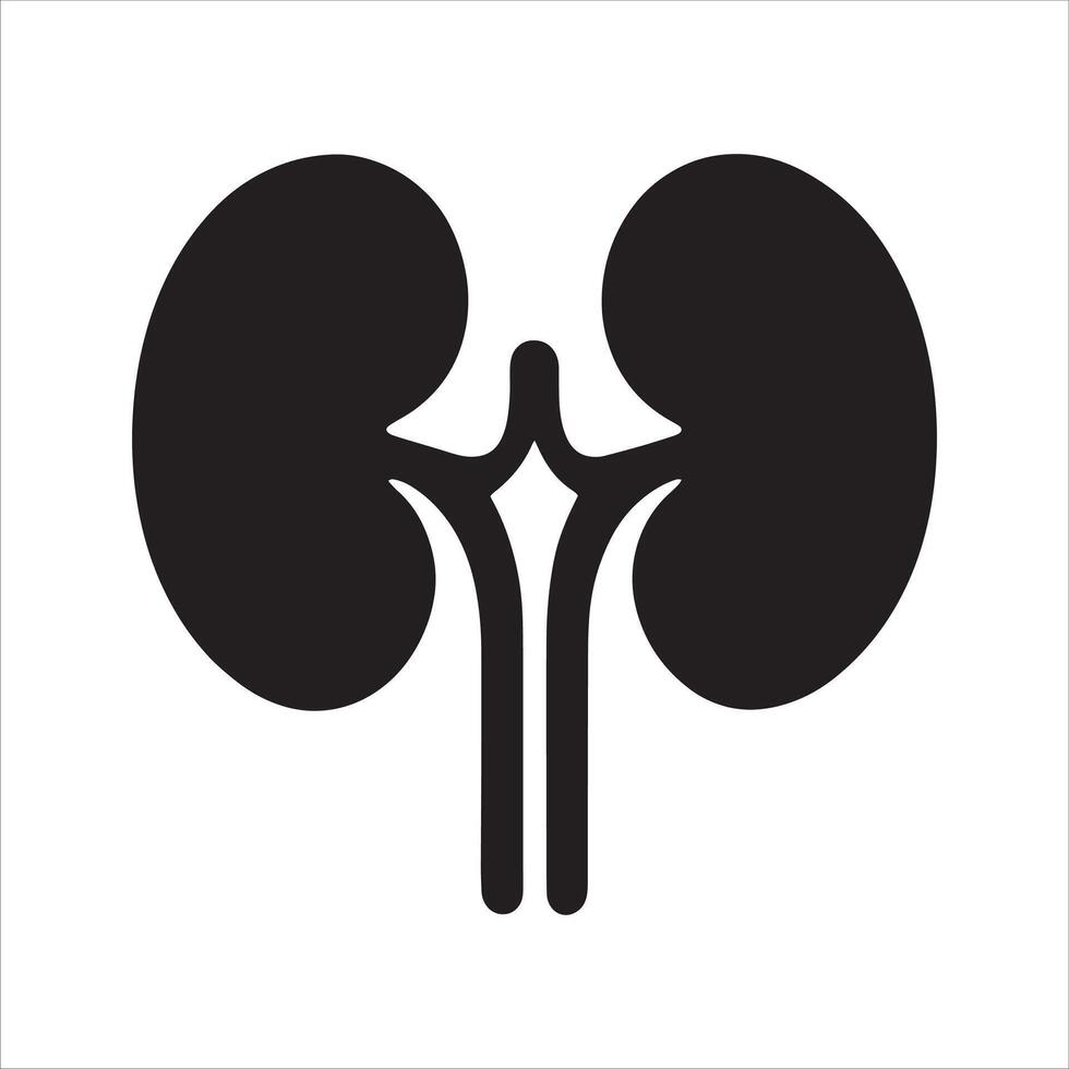 Kidney silhouette. a kidney on a white background vector
