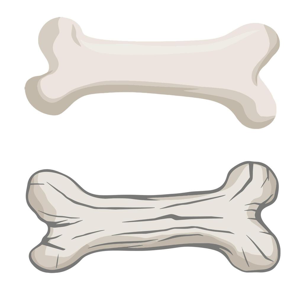 Set of bones icon. Cartoon-style illustration of human skeleton parts and white dog toys. Flat design, ideal for medical visuals, pet-related designs, or playful themes. vector