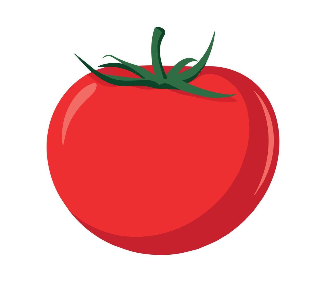 Fresh tomato vegetable illustration. Flat style vector