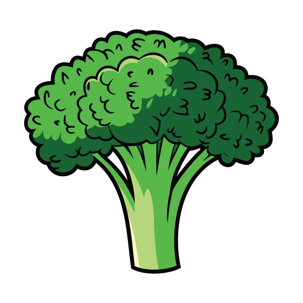 Fresh broccoli vegetable icon. Nature-inspired design symbolizing healthy food. Flat illustration, ideal for packaging, menus, or eco friendly concepts. vector