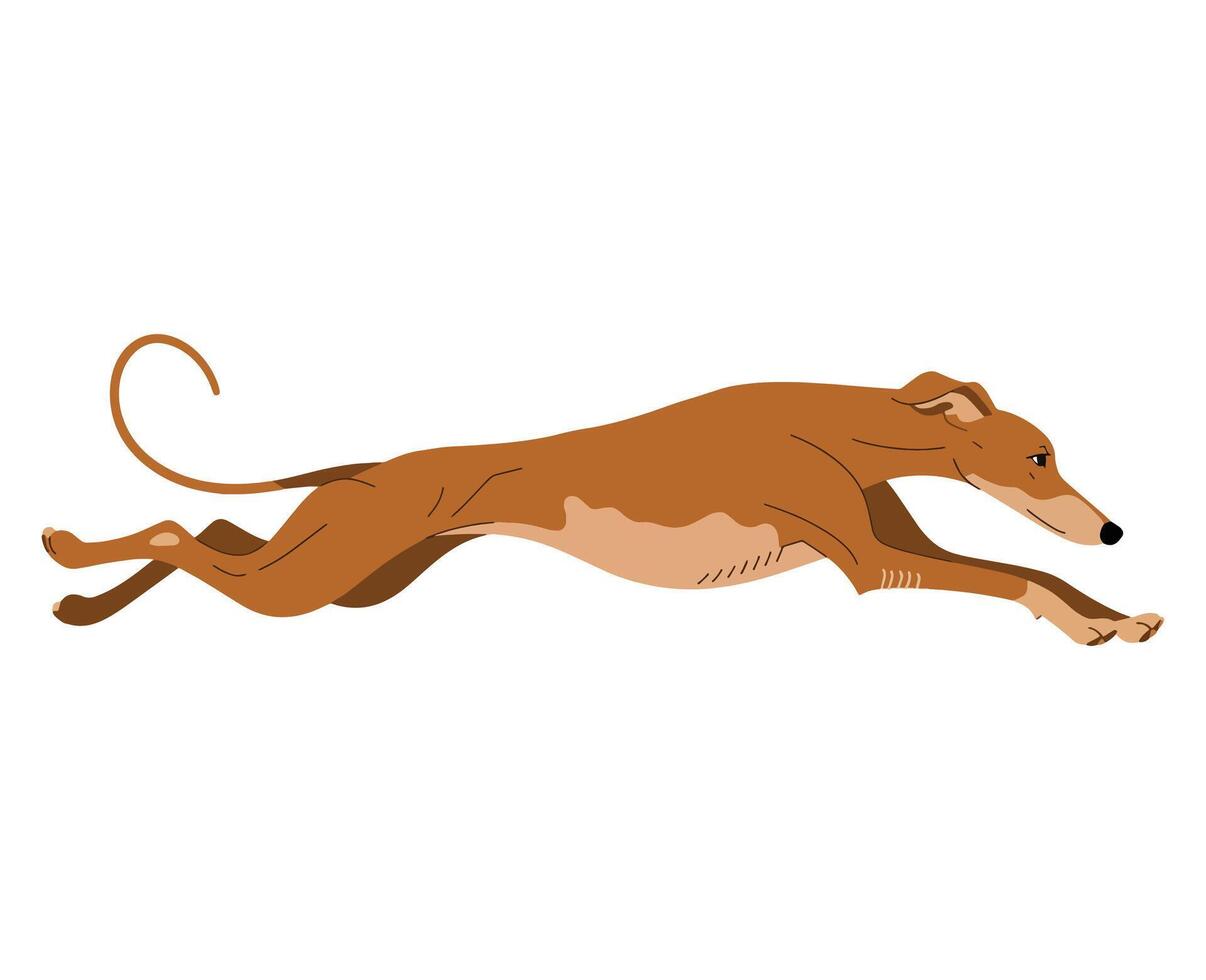 Greyhound dog jumping icon. Silhouette of a leaping greyhound, isolated on white. Sleek and dynamic design. vector