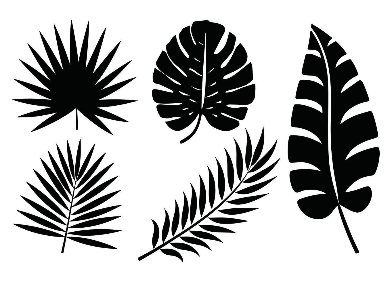 Set of palm leaves silhouettes in black. Tropical foliage collection isolated on a white background, perfect for botanical designs, patterns, and decorative elements. vector