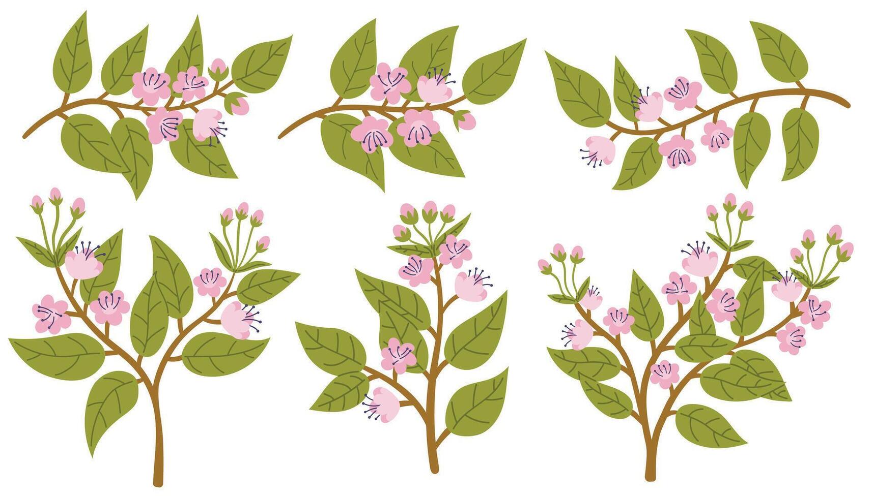 Set of Japanese cherry blossoms, spring flowers on branches. Cartoon collection of blooming tree branches. vector
