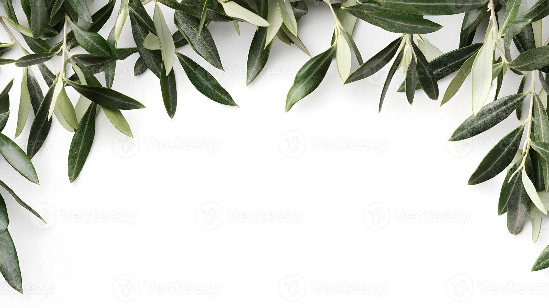 Frame of Olive Branches with Lush Green Leaves Creating a Natural Elegant Border Design photo