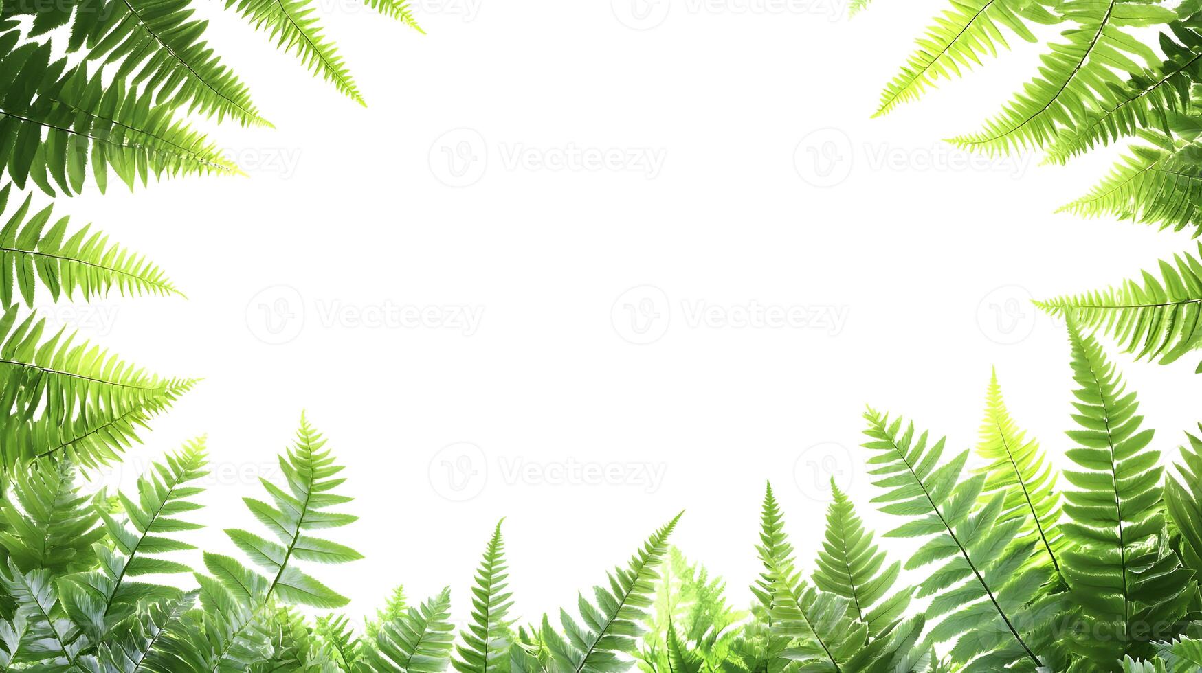 Fern fronds create a lush green border, framing the light and open space within the image photo