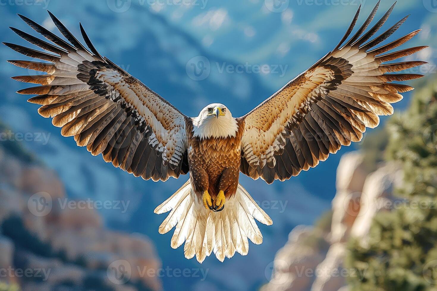 Majestic Eagle Soaring Through Azure Skies Wings Spread Wide photo