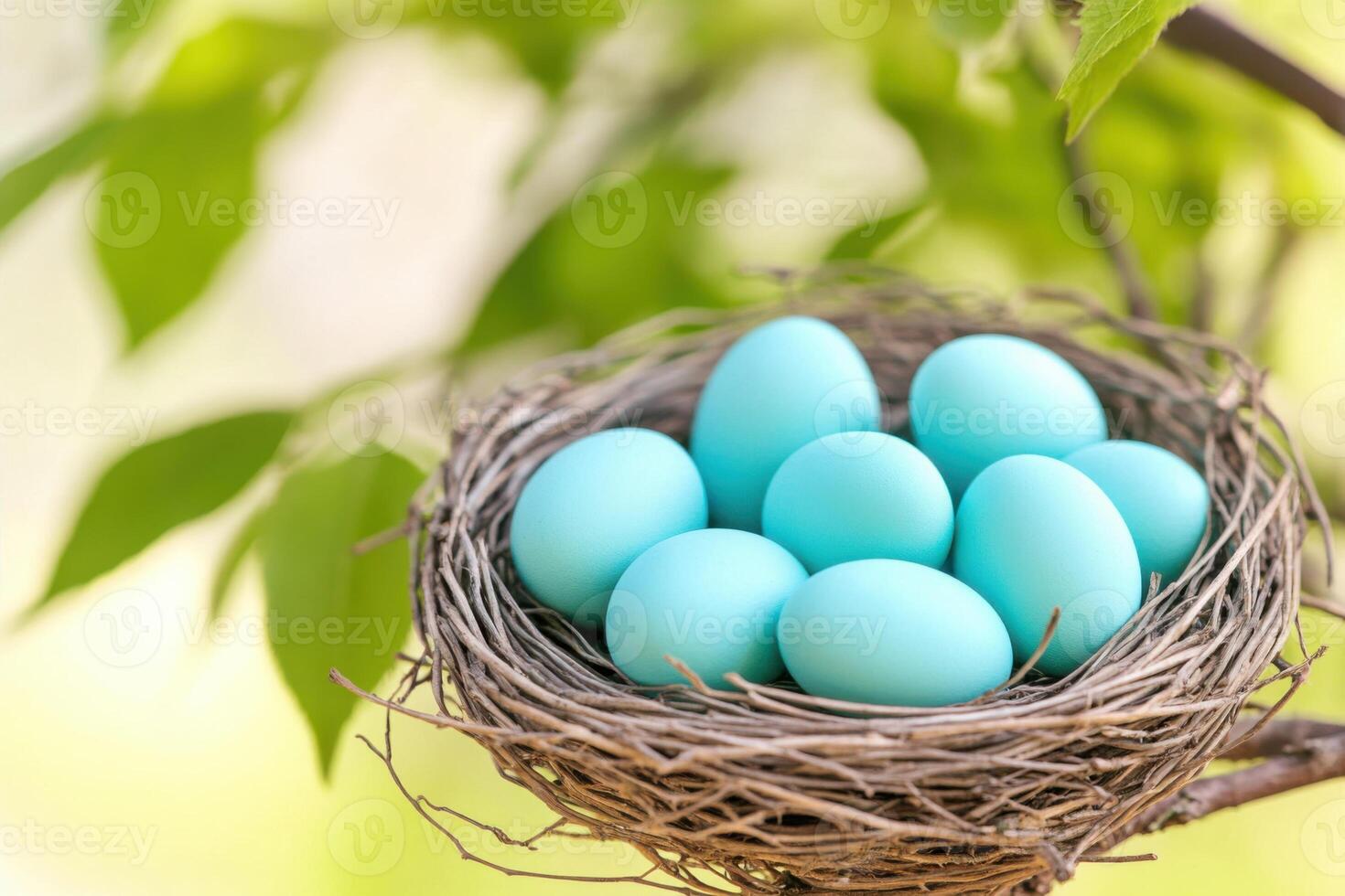 Vibrant turquoise eggs nestled in a birds nest resting on a green tree branch, symbolizing the beauty of life and renewal during springtime photo