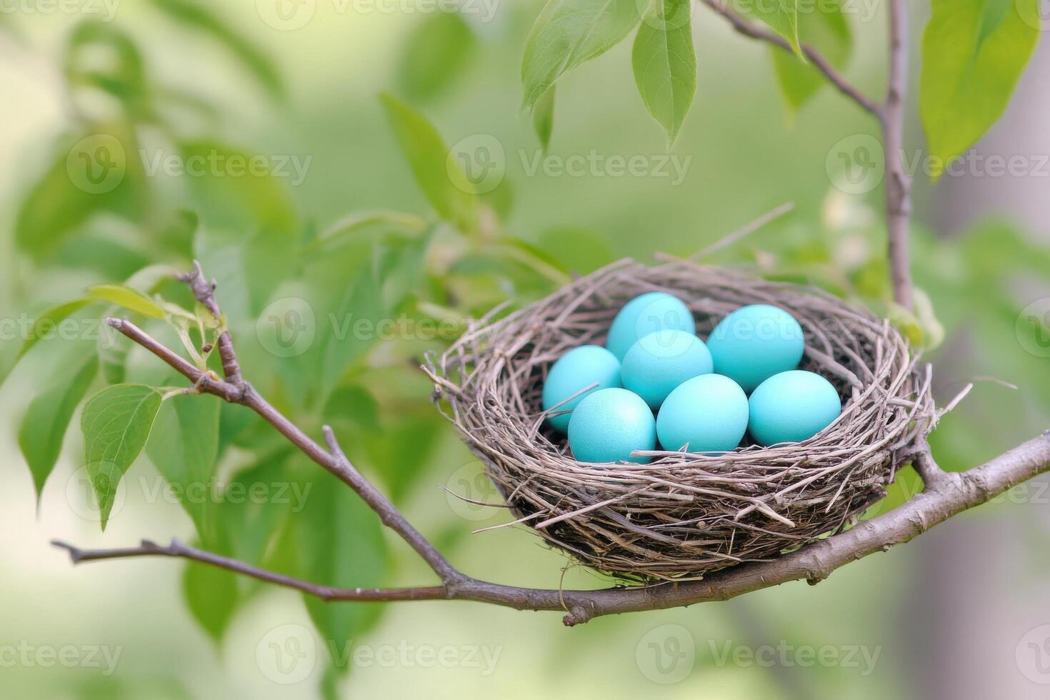 Vibrant turquoise eggs nestled in a birds nest on a tree branch, symbolizing life and renewal in nature photo