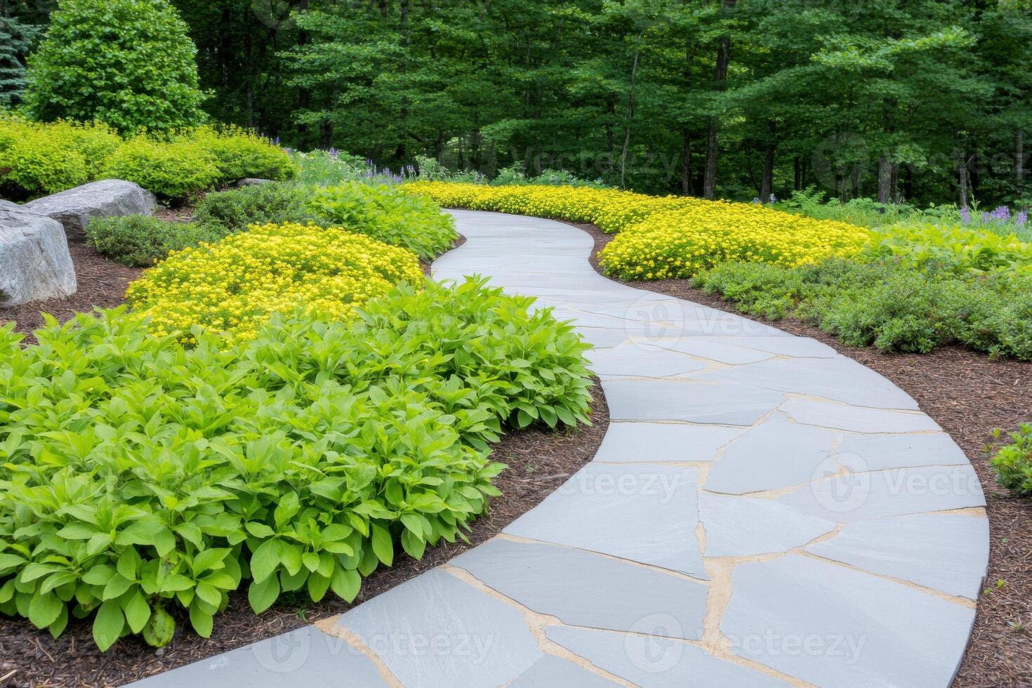 Manicured spring garden featuring vibrant yellow-green plants and a winding pathway through natural beauty photo