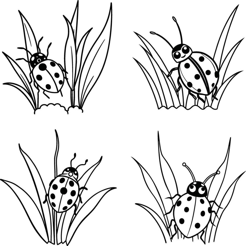 Hand Drawn Set Insect Illustrations Black and White Line Art Coloring Page vector