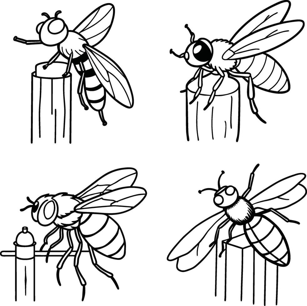 Line Art Insect Illustrations Hand Drawn Black and White Set Drawing Page vector