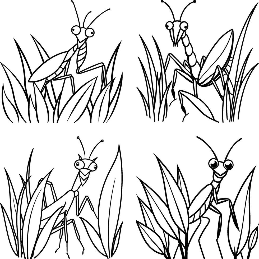 Black and White Set Hand Drawn Insect Illustrations Line Art Drawing Page vector