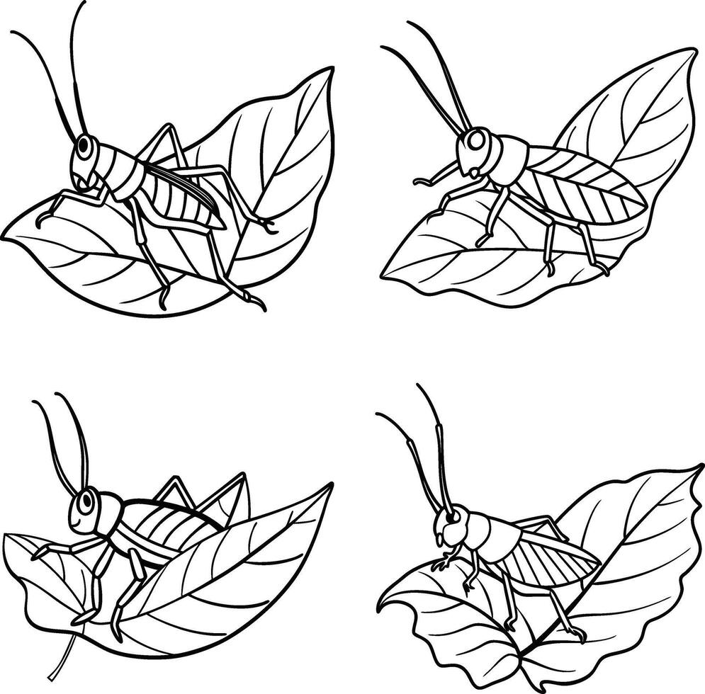 Line Art Set Hand Drawn Insect Illustrations Black and White Coloring Page vector