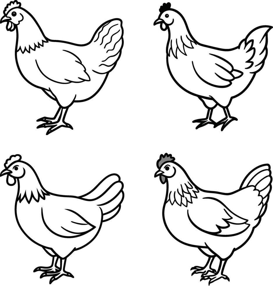Chicken Illustrations Hand Drawn Black and White Farm Animal Set Line Art Coloring Page vector