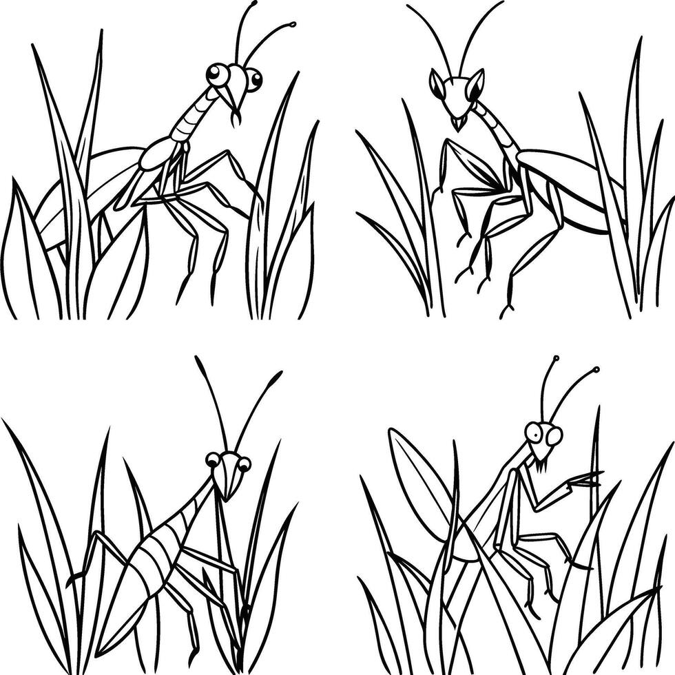 Black and White Hand Drawn Insect Illustrations Line Art Set Drawing Page vector