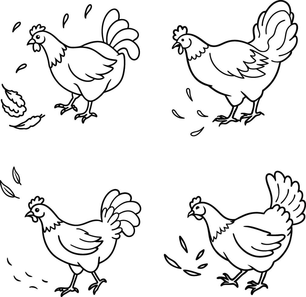 Line Art Hand Drawn Chicken Illustrations Farm Animal Set Black and White Coloring Page vector