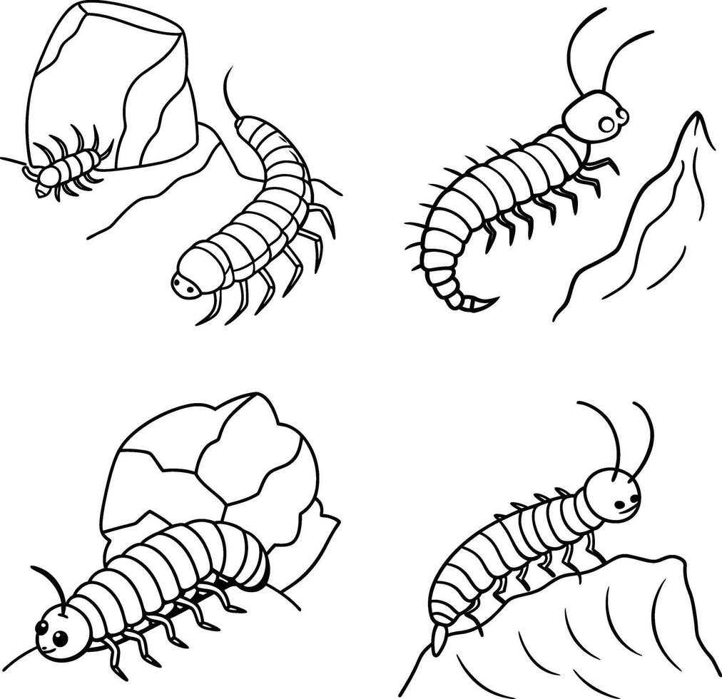Black and White Line Art Hand Drawn Insect Set Illustrations Coloring Page vector