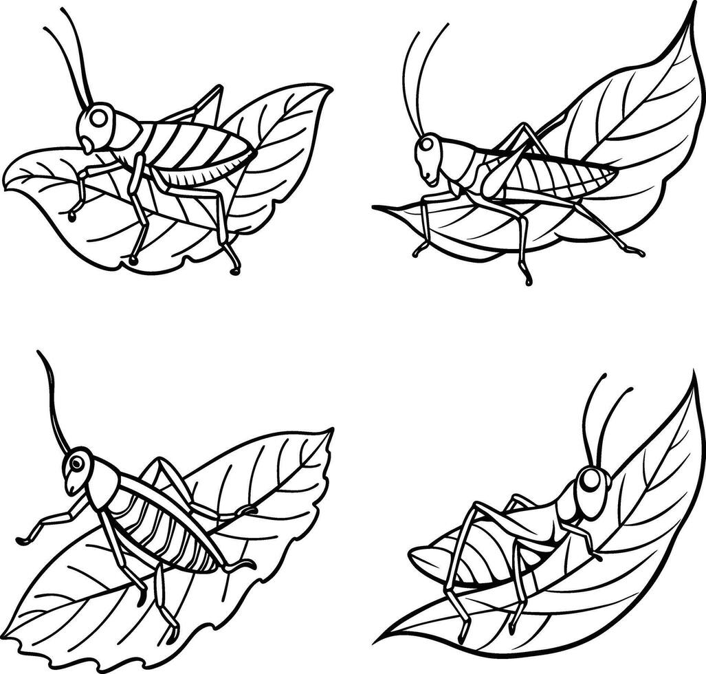 Insect Illustrations Hand Drawn Set Black and White Line Art Coloring Page vector