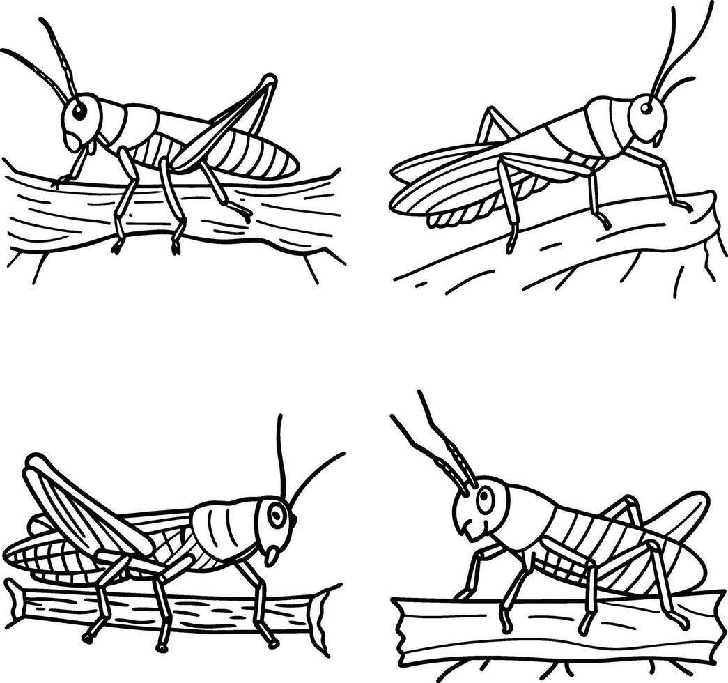 Hand Drawn Insect Set Black and White Illustrations Line Art Coloring Page vector