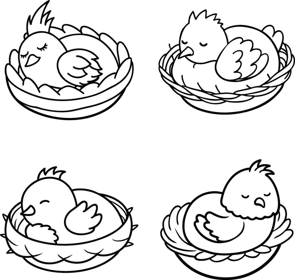 Hand Drawn Chicken Illustrations Set Farm Animal Black and White Line Art Coloring Page vector