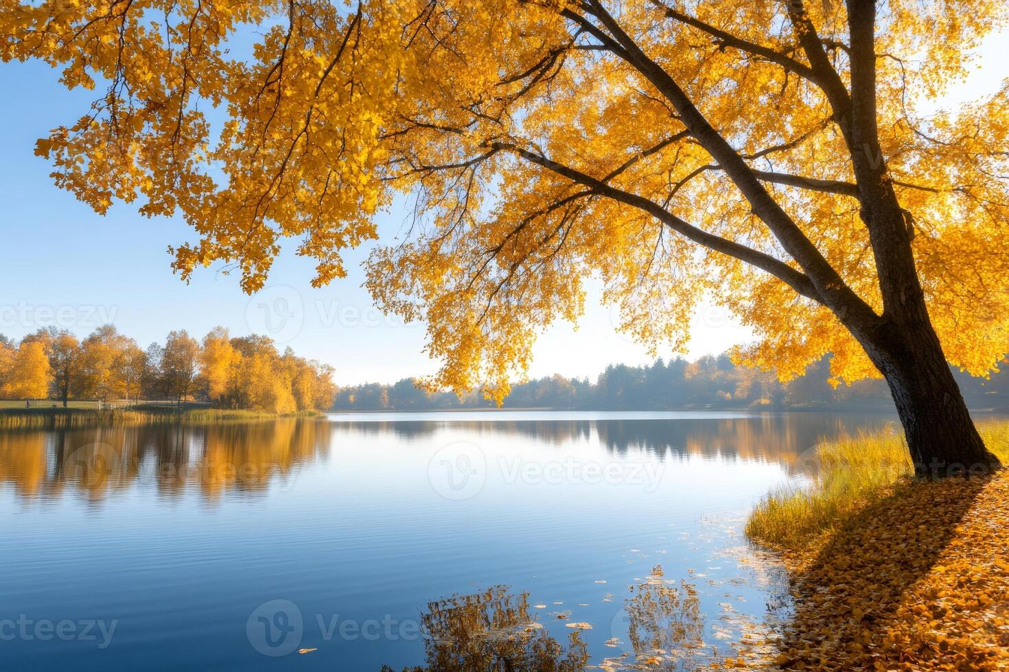 Golden autumn tree reflecting in calm lake water with colorful foliage photo