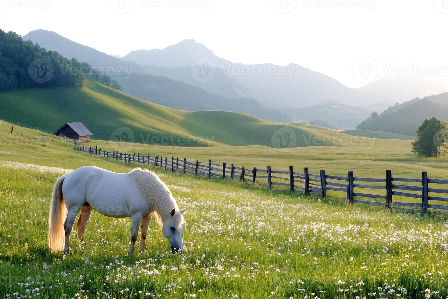 White horse grazing in a field of wildflowers with mountain landscape in the background photo