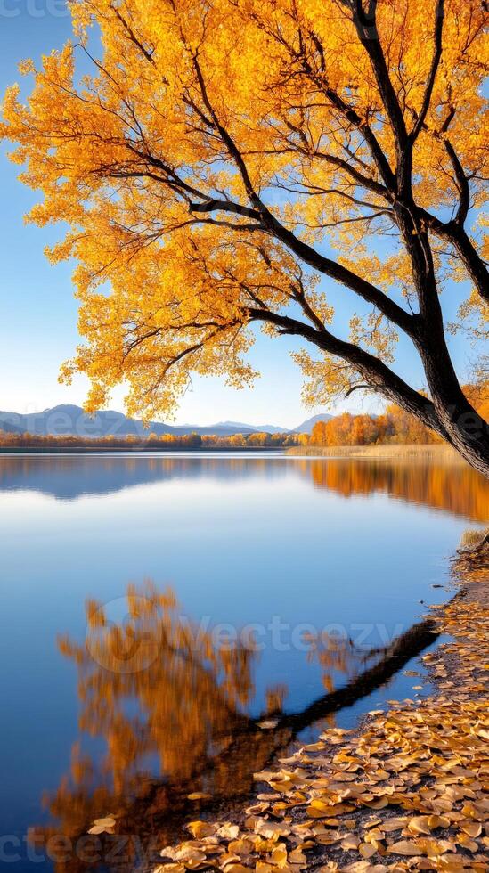 Golden autumn tree reflecting in a calm lake with mountains in the background photo