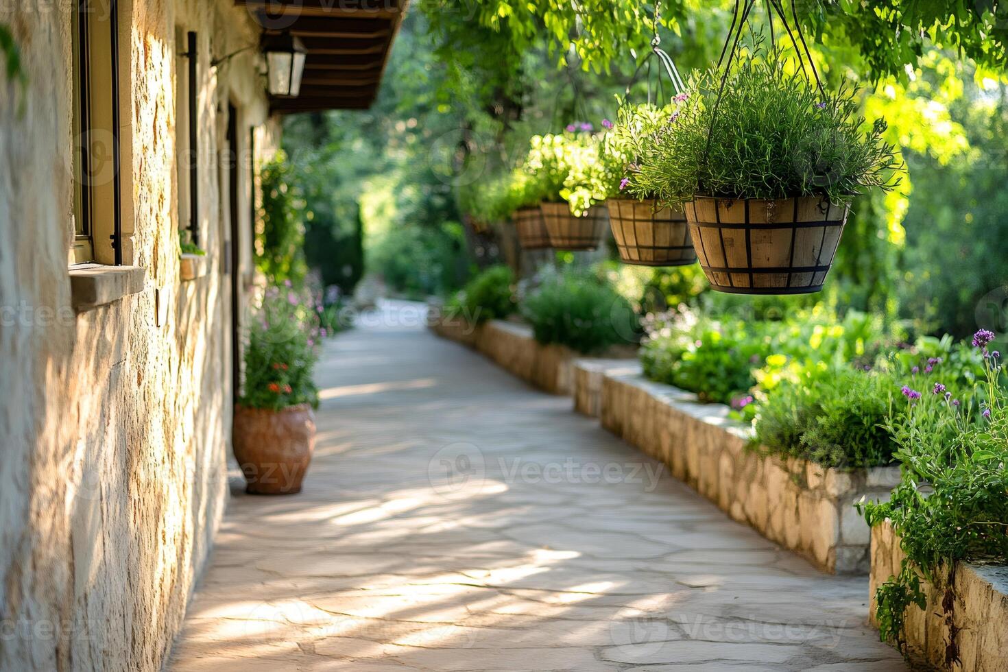 Hanging flower baskets decorating a paved path in a garden photo